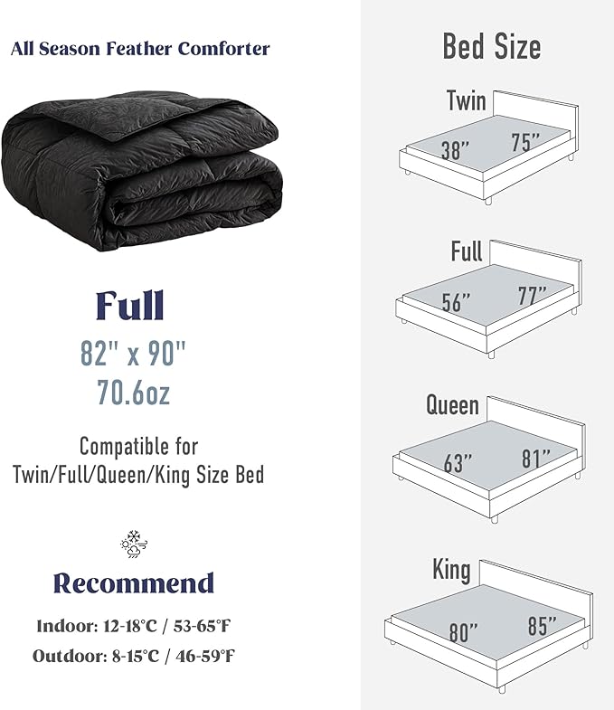 DAICO Goose Feather Down Comforter Full Size, All Season Luxury Hotel Fluffy Duvet Insert, Ultra Soft 100% Cotton Shell with 8 Corner Tabs, Paisley Design (82x90'', Black)