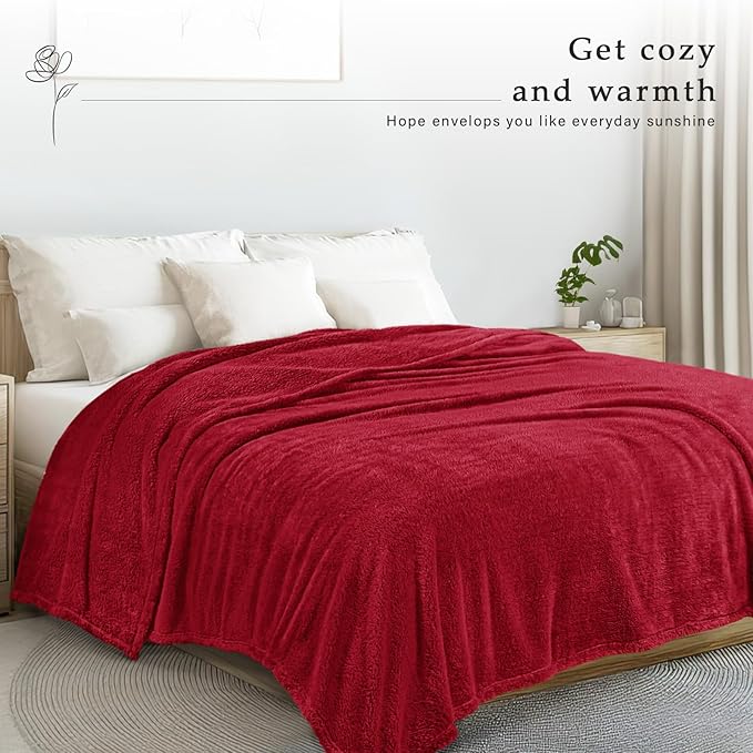 Exclusivo Mezcla Queen Size Blanket for Bed, Super Soft Velvet Plush Fleece Blankets, Fuzzy Cozy and Warm for Winter, 90x90 Inches, Deep Red