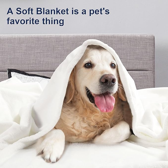 DREAMNINE Extra Large Solid Soft Comfy Fluffy Fleece Bed Blanket Queen Size 90" x 90", Luxury Decorative Fuzzy Blankets for Bedroom, Big Cozy Shaggy Warm Flannel Blanket for Winter Autumn Pet, White