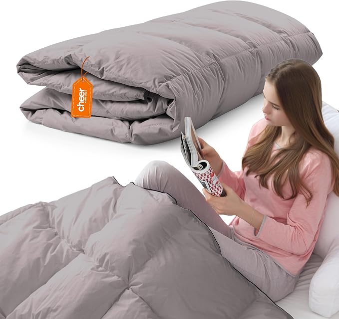 Cheer Collection Down Alternative Comforter - Ultra-Soft & Cozy Twin Size Duvet Insert, Lightweight Down Comforter for All-Season Warmth, Plush Bedding Twin Comforter, Gray