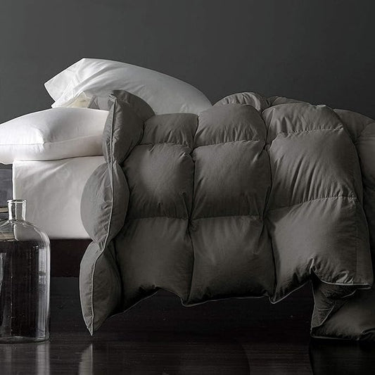 Royoliving Premium Feathers Down Duvet Insert Comforter Twin Size Charcoal Gray All Season Medium Warmth Grey 100% Cotton Cover with Corner Tabs (68x90, 35 oz)