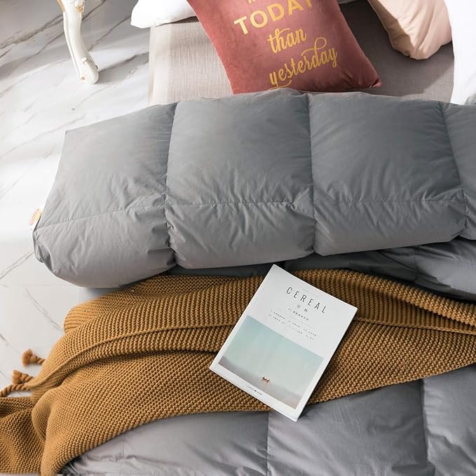 Globon White Goose Down Comforter Queen Size, Heavyweight Winter Down Comforter Duvet Insert, 100% Cotton Shell, Fluffy Luxury Hotel Style Bedding with Corner Tabs, Grey