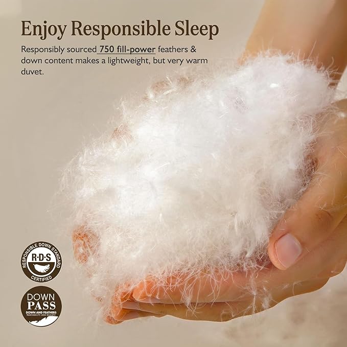 BPC Feather Down Comforter Queen Size, Hotel-Luxury Fluffy Duvet Insert with Organic Cotton Cover and Puffy Feather Down Filling for All-Season, Ivory White, 90x90 Inches