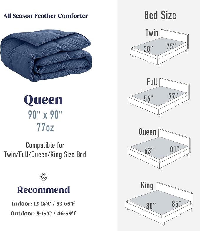 DAICO Goose Feather Down Comforter Queen Size, All Season Luxury Hotel Fluffy Duvet Insert, Ultra Soft 100% Cotton Shell with 8 Corner Tabs, Paisley Design (90x90'', Navy Blue)