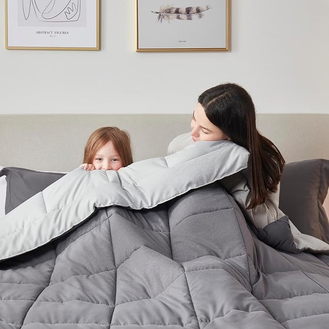 Nestl Comforter Duvet Insert 2 Piece, Quilted Down Alternative Comforter Twin XL Size with 1 Pillow Sham, All Season Grey/Light Grey Comforter Twin XL Duvet Inserts, Twin XL Comforter with Corner Tabs