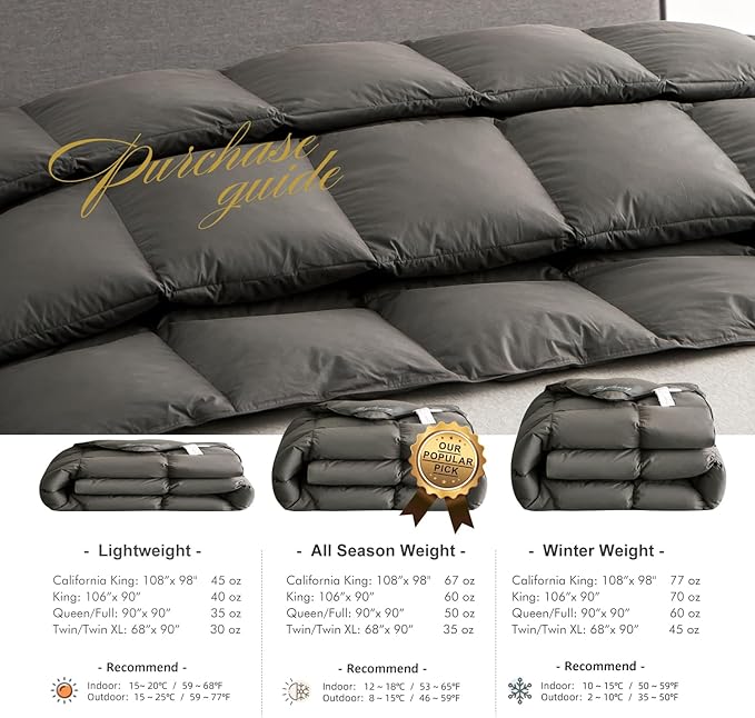 Royoliving Premium Feathers Down Duvet Insert Comforter Twin Size Charcoal Gray All Season Medium Warmth Grey 100% Cotton Cover with Corner Tabs (68x90, 35 oz)