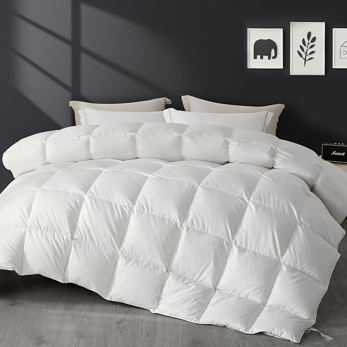 SAPHREAS Queen Size Down Feathers Comforter, All Season Duvet Insert Queen, Luxury Lightweight Bedding Comforters with 8 Corner Loops, White 90x90