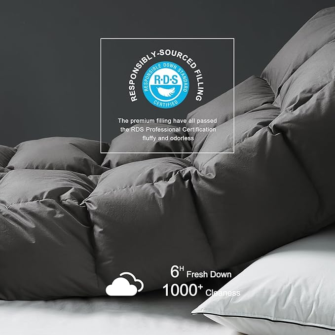 Royoliving Premium Feathers Down Duvet Insert Comforter Queen Size Charcoal Gray All Season Medium Warmth Grey 100% Cotton Cover with Corner Tabs (90x90, 50 oz)