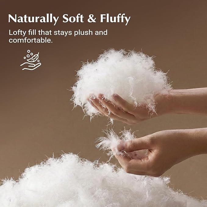 downluxe Feather Down Fiber Comforters King Size Fluffy All Season Duvet Insert Soft Breathable Bedding Comforter with Box Stitch Design & 8 Duvet Loops