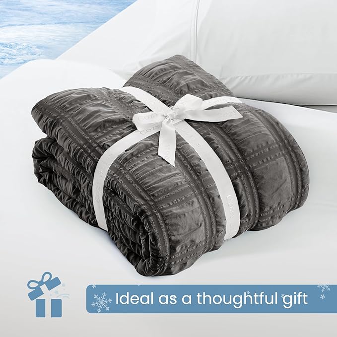 Cozy Bliss Cooling Comforter Seersucker Plaid Queen Size, Q-Max 0.45 Lightweight Cooling Blanket, Breathable Silk Smooth Summer Bedding Quilt for Hot Sleepers Night Sweats Dark Gray
