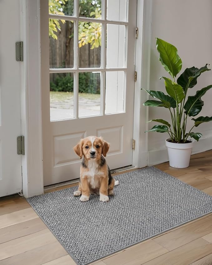 DEXI Ultra Thin Door Mat Indoor Entrance 48x72, Non Slip Rubber Backed Entryway Mats Dirt Trapper, Low Profile Front Doormat for Inside Entry, Patio, Porch, Grey - Image 9