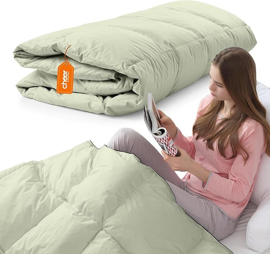 Cheer Collection Down Alternative Comforter - Ultra-Soft & Cozy Twin Size Duvet Insert, Lightweight Down Comforter for All-Season Warmth, Plush Bedding Twin Comforter, Sage Green
