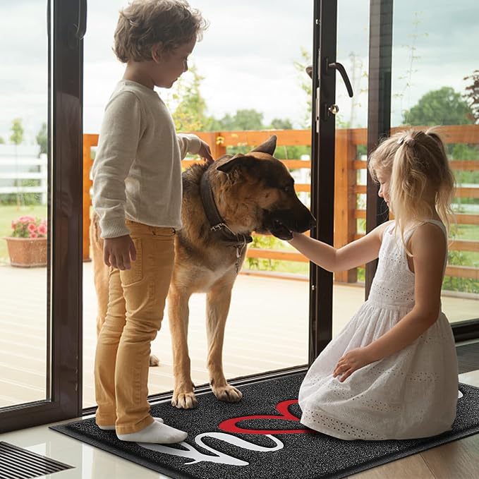 BeneathYourFeet Door Mat, Welcome Mat Low Profile Floor Mat Front Doormat Indoor and Outdoor Doormat Non Slip Rugs for Entryway, Patio, High Traffic Areas (30"x17.5", Black-Home) - Image 6