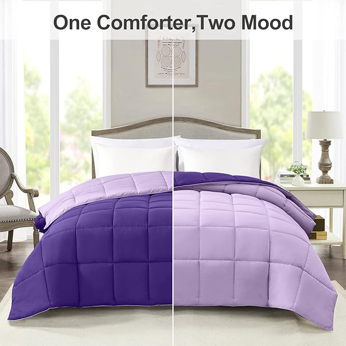 Homelike Moment Comforter King Size - Purple Duvet Insert Down Alternative Bed King Comforter, Lightweight Bedding Comforters Quilted Soft All Season Reversible Plum/Light Purple