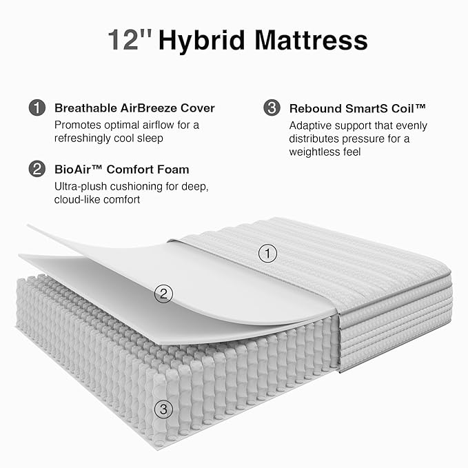 Novilla 12 Inch Queen Size Mattress in a Box, Hypoallergenic & Back Pain Relief, Hybrid Queen Mattresses with Smarts Coils, Fiberglass Free CertiPUR-US Certified Colchones No Box Spring Needed