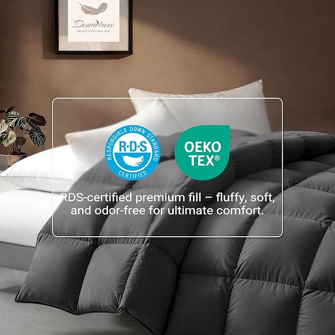 downluxe Feather Down Fiber Comforters Queen Size Fluffy All Season Duvet Insert Soft Breathable Bedding Comforter with Box Stitch Design & 8 Duvet Loops