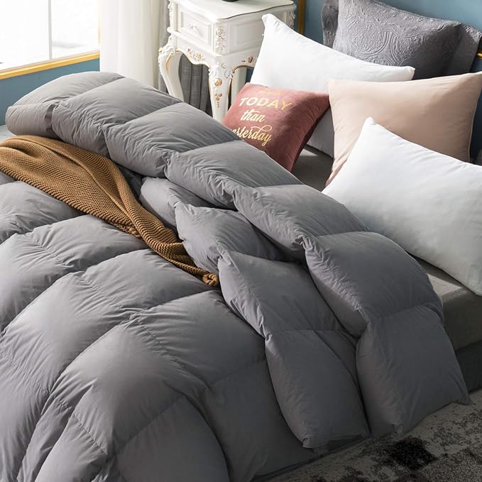 Globon Winter Down Comforter King Size,Heavyweight Duvet Insert for Clod Sleepers,Noiseless Soft Shell,with 8 Corner Tabs,Grey
