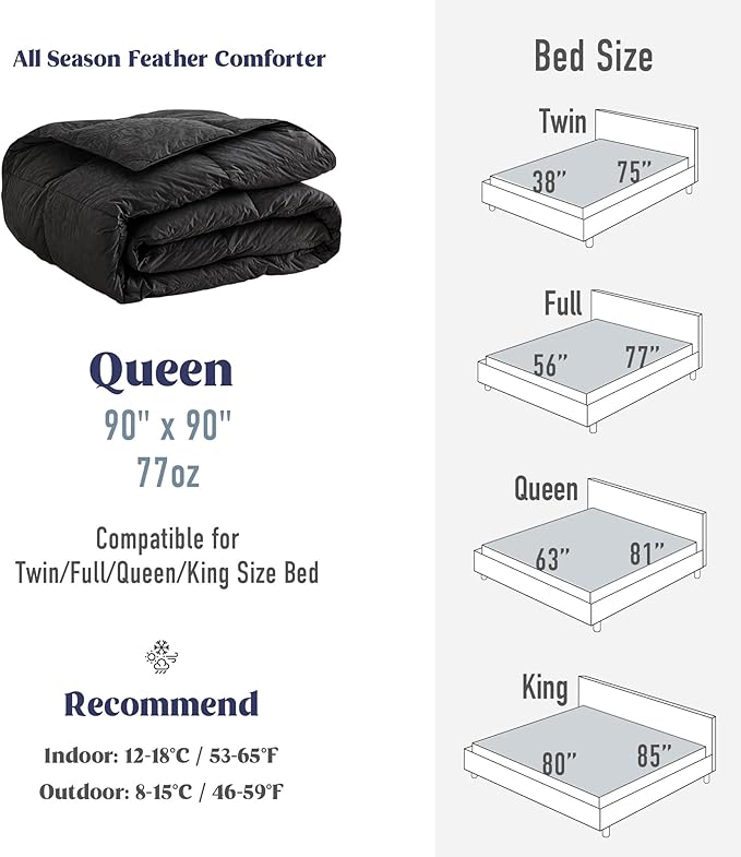 DAICO Goose Feather Down Comforter Queen Size, All Season Luxury Hotel Fluffy Duvet Insert, Ultra Soft 100% Cotton Shell with 8 Corner Tabs, Paisley Design (90x90'', Black)