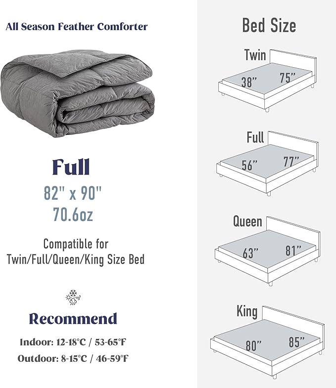 DAICO Goose Feather Down Comforter Full Size, All Season Luxury Hotel Fluffy Duvet Insert, Ultra Soft 100% Cotton Shell with 8 Corner Tabs, Paisley Design (82x90'', Grey)