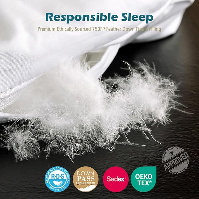 Cobnom® Luxury Organic Down Feather Comforter Oversized King, High Fill-Power Down Feather Fibers Duvet Insert with 100% Cotton Cover, Medium Warm for All-Season, Ivory White, 120x98 Inch