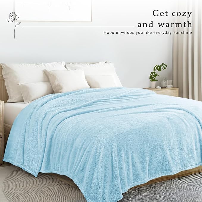 Exclusivo Mezcla Queen Size Blanket for Bed, Super Soft Velvet Plush Fleece Blankets, Fuzzy Cozy and Warm for Winter, 90x90 Inches, Light Blue