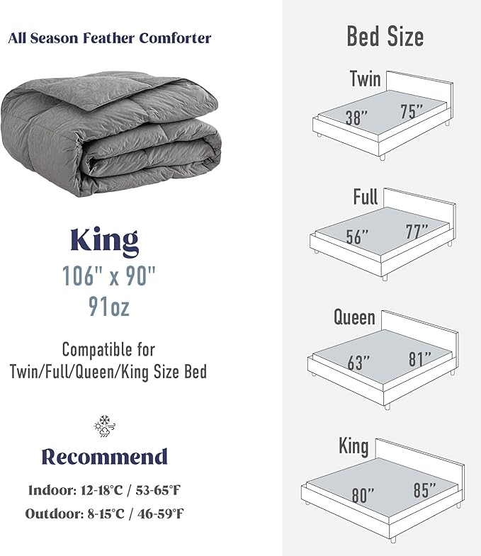 DAICO Goose Feather Down Comforter King Size, All Season Luxury Hotel Fluffy Duvet Insert, Ultra Soft 100% Cotton Shell with 8 Corner Tabs, Paisley Design (106x90'', Grey)