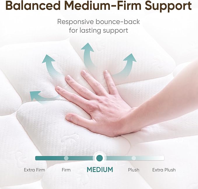 ETONEX 12 Inch Queen Hybrid Mattress in a Box Gel Memory Foam and Pocket Springs for Pressure Relief with Medium Firm CertiPUR-US Certified (Queen, 12in)