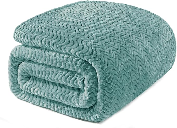 Exclusivo Mezcla Twin Blanket for Bed, Cozy Lightweight Fleece Blankets for All Season, Decorative Giftable Fuzzy Plush Wave Textured Suitable for Women, Men, Celadon, 90x66 Inches