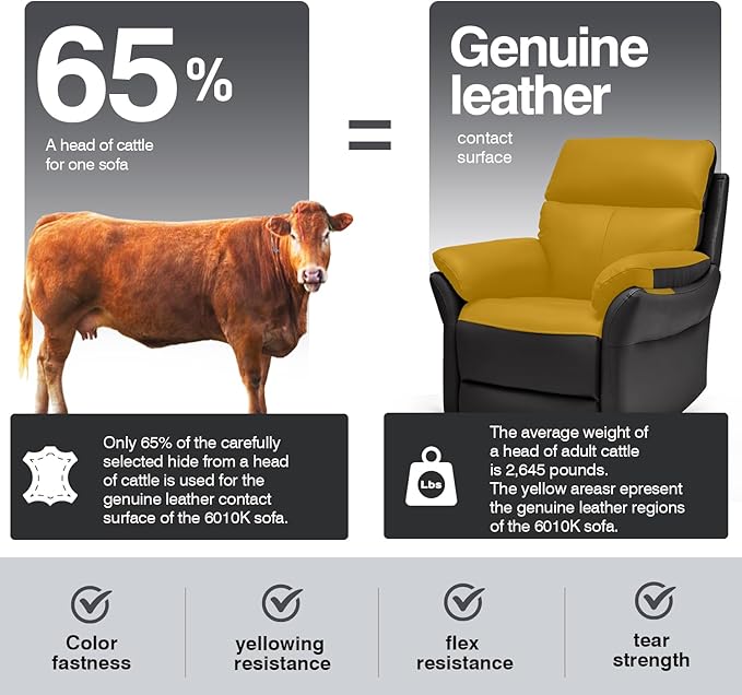 AIRSKY Genuine Leather Recliner Chair, Top Grain Leather, Italian Water-Washing Process, Reclining Sofa Chair for Reading, Single Sofas for Living Room, Theater Seating, Bedroom. Black,R1