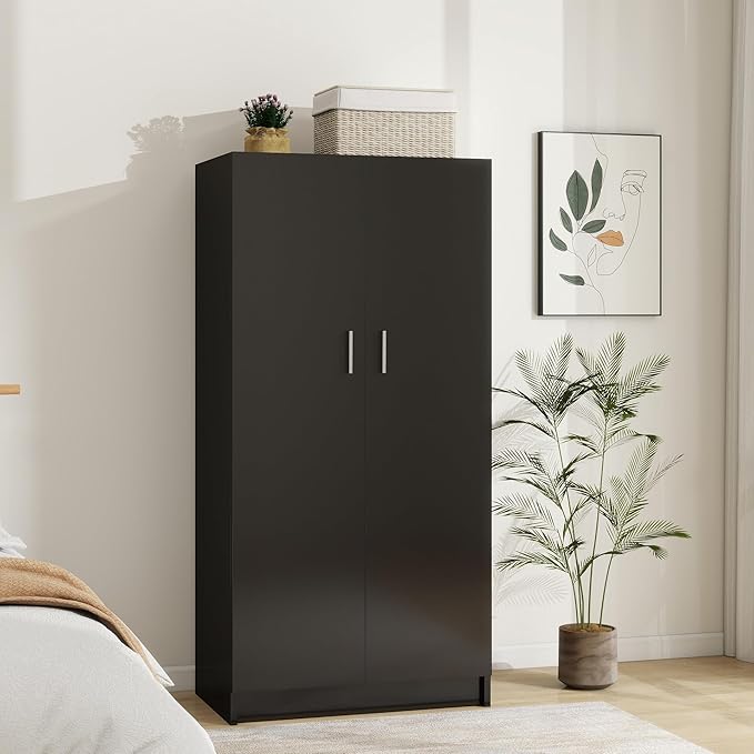 Panana 2 Door Wardrobe Closet Bedroom Armoires with 2 Shelves Storage, Hanging Rail for Bedroom (Black)