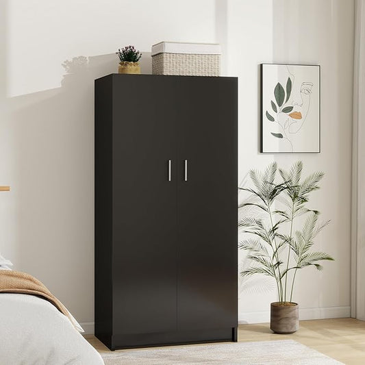 Panana 2 Door Wardrobe Closet Bedroom Armoires with 2 Shelves Storage, Hanging Rail for Bedroom (Black)