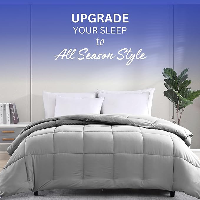 Casa Platino Quilted Comforter Queen Size - Super Soft Duvet Insert with 8 Tabs - Fluffy, Comfy & Cozy All Season Queen Bedding Comforter - Down Alternative Premium Bed Comforters - 88"x88", Silver