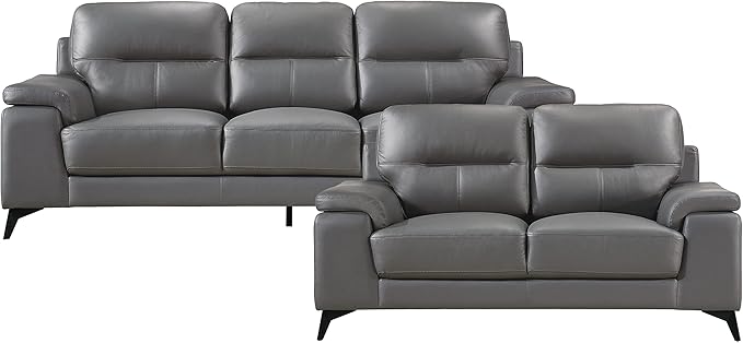 Lexicon Danica Top Grain Leather 2-Piece Living Room Sofa Set, Dark Gray