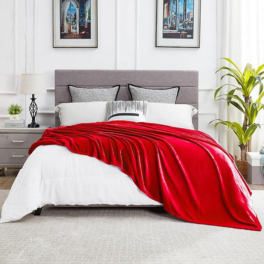 DREAMNINE Oversized Soft Fuzzy Flannel Fleece Throw Blanket Twin Size 60" x 80", Decorative Solid Lightweight Fluffy Velvet Bed Blankets, Luxury Big Cozy Shag Plush Microfiber Blanket for Bedroom, Red