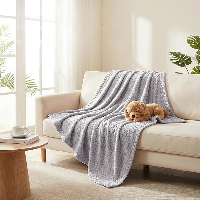 Exclusivo Mezcla Fleece Throw Blanket for Couch, Cozy Lightweight Blankets for All Season, Decorative Giftable Fuzzy Plush Wave Textured Throws for Women, Men, Light Grey, 50x70 Inches
