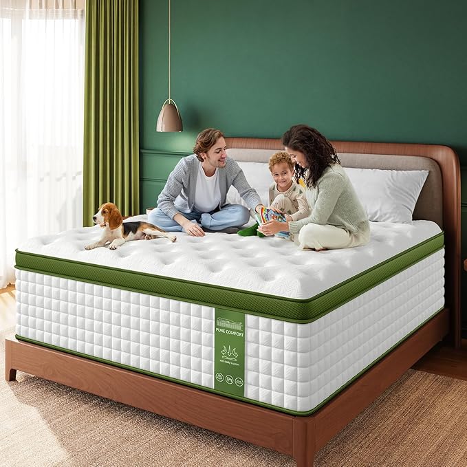 BedStory Extra Firm Queen Mattress 14 Inch, Hybrid Mattresses Queen Size –Targeted Lumbar & Shoulder Support for Back Pain Relief, Fiberglass-Free, CertiPUR-US Certified, 365-Night Trial