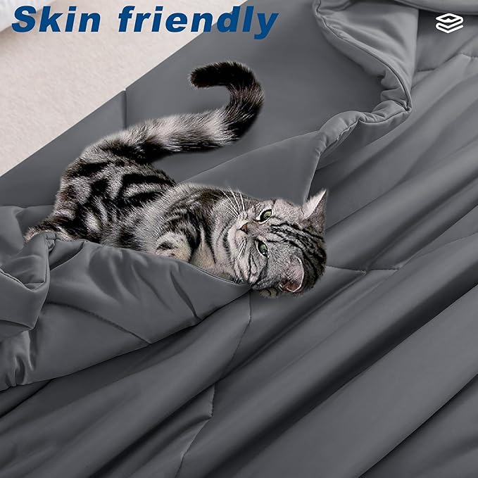 Cooling Comforter Queen Size, Double-Sided Cold Tech Fabric Quilted Bed Comforters Cooling Blanket for Hot Sleepers, Breathable Lightweight Summer Bedding, All-Season Ice Blanket, Dark Gray