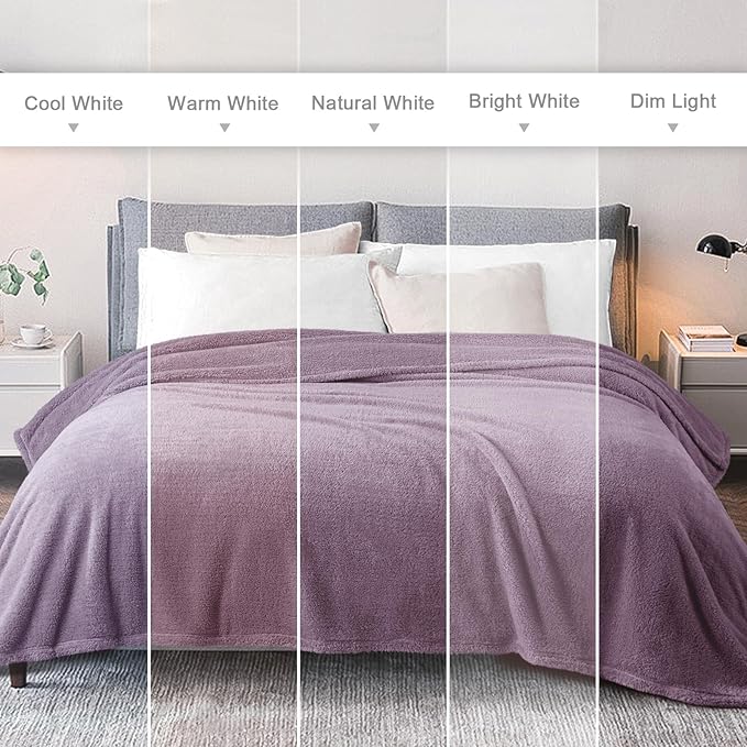 Exclusivo Mezcla Queen Size Blanket for Bed, Super Soft Velvet Plush Fleece Blankets, Fuzzy Cozy and Warm for Winter, 90x90 Inches, Grayish Purple