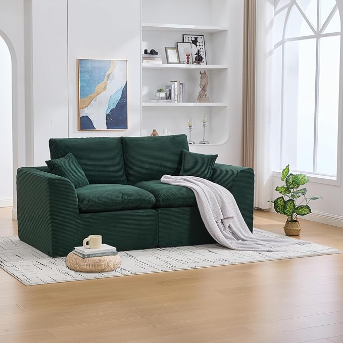 80.3" Cloud Loveseat Boneless Sofas for Living Room, 2 Seaters Modular Foam Cloud Sofa Couches, 2 Seat Compression Foam Couch with Toss Pillows, No Assembly Required
