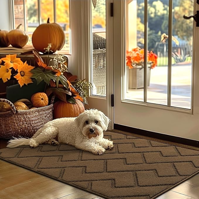 hicorfe Indoor Door Mat,Non Slip Door Mats,32"x48" Front Back Door Mat Rubber Backing,Absorbent Resist Dirt Entrance Inside Floor Mats for Entryway Washable Low-Profile(Dark Brown) by Hicorfe