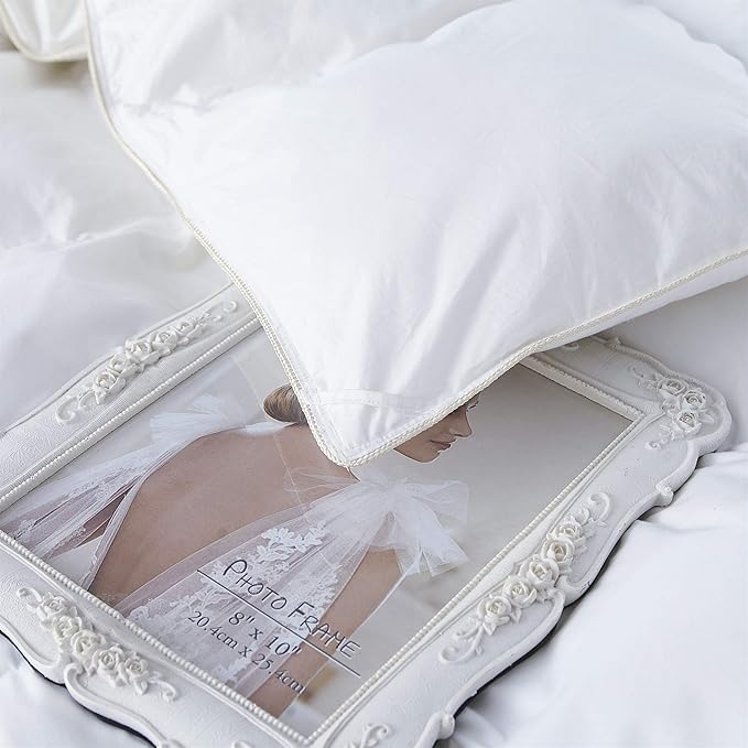 Premium All-Season Twin Size Luxury Siberian Goose Down Fiber Comforter Duvet Insert 100% Egyptian Cotton Down Feather Comforter (Twin, White Solid)