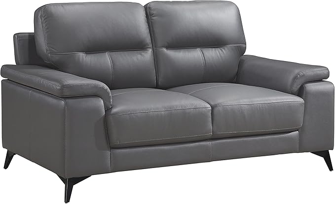 Lexicon Danica Top Grain Leather 2-Piece Living Room Sofa Set, Dark Gray