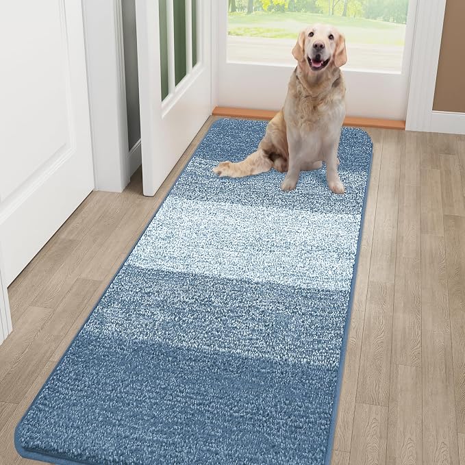 Kitinjoy Indoor Outdoor Door Mat, 48x30 Non-Slip Absorbent Dirt Trapper, Low-Profile Washable Inside Entrance Front Floor Mat, Sturdy Soft Entry Doormats for Entryway, Light Blue by Kitinjoy