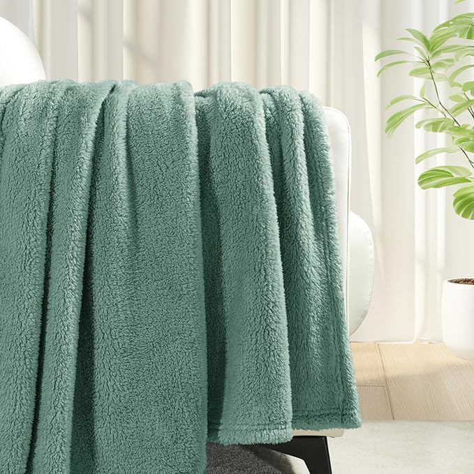 Exclusivo Mezcla Twin Size Blanket for Bed, Super Soft Velvet Plush Fleece Blankets, Fuzzy Cozy and Warm for Winter, 60x80 Inches, Celadon