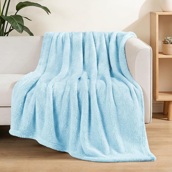 Exclusivo Mezcla Soft Fleece Throw Blanket for Couch, Super Soft Velvet Plush Fleece Blankets, Fuzzy Cozy and Warm for Winter, 50x60 Inches, Light Blue