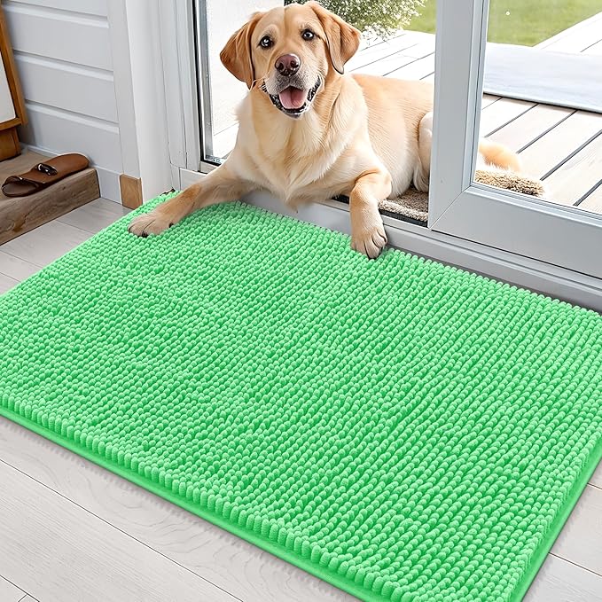 OLANLY Dog Door Mat for Muddy Paws 36x24, Absorbs Moisture and Dirt, Absorbent Non-Slip Washable Doormat, Quick Dry Chenille Mud Mat for Dogs, Entry Indoor Entryway Carpet for Inside Floor, Mint Green by OLANLY