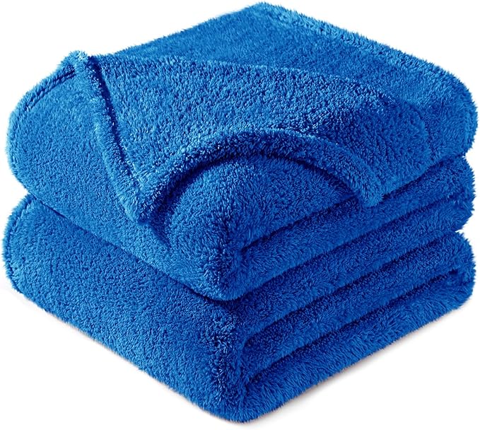 Exclusivo Mezcla Queen Size Blanket for Bed, Super Soft Velvet Plush Fleece Blankets, Fuzzy Cozy and Warm for Winter, 90x90 Inches, Cobalt Blue
