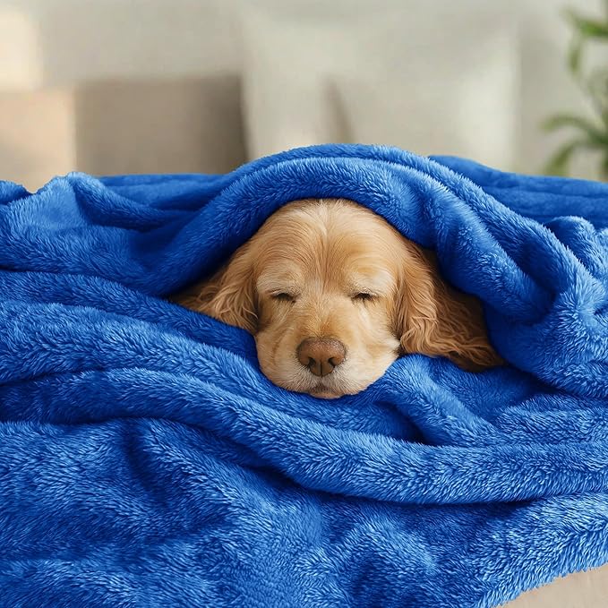 Exclusivo Mezcla Plush Fuzzy Fleece Bed Blanket Twin Size, Super Soft, Fluffy and Warm Blankets for Couch, Bed, All Season (Cobalt Blue, 90x66 inches)