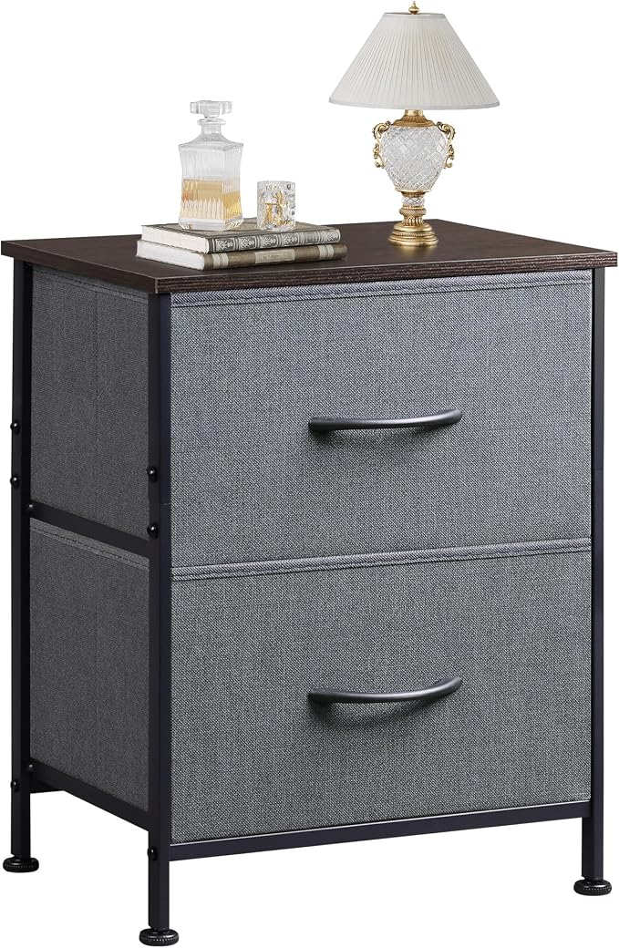 WLIVE Nightstand, 2 Drawer Dresser for Bedroom, Small Dresser with 2 Drawers, Bedside Furniture, Night Stand, End Table with Fabric Bins for Bedroom, Closet, Entryway, College Dorm, Dark Grey by WLIVE