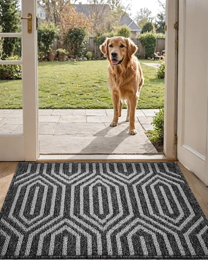 DEXI Front Door Mats for Entryway, 2x3 Non Slip Washable Low-Profile Entry Doormat, Absorbent Resist Dirt Inside Floor Entrance Mat, Patio, Black by DEXI